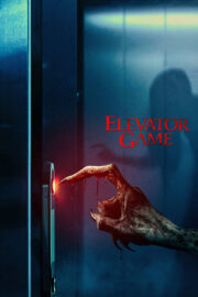 Asansör Oyunu – Elevator Game